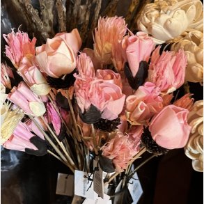 Blomst stilk sola, lille rosa