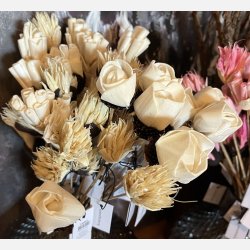 Blomst stilk sola, lille hvid