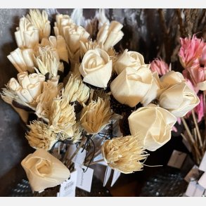 Blomst stilk sola, lille hvid