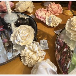 Blomsterhoved sola, stor hvid