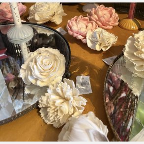 Blomsterhoved sola, stor hvid