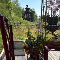 Fyrfadsstage m. glas p jernspyd, brun