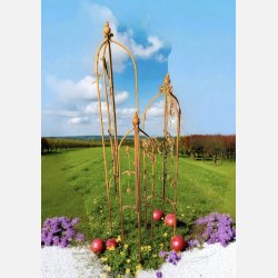 Fuzzy Espalier, rust, 