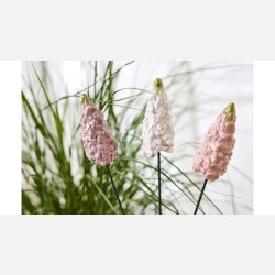 Hyacint p� stilk i Keramik 