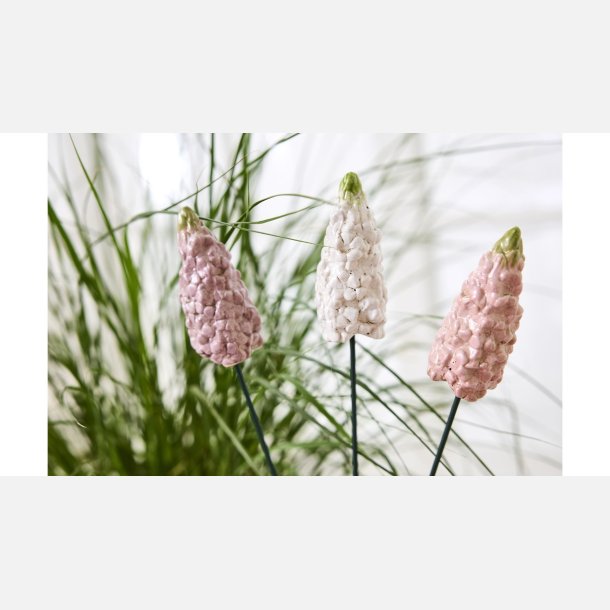 Hyacint p� stilk i Keramik 