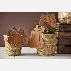 La Vida, Gr�skar/Stick rust i 3 assorteret modeller