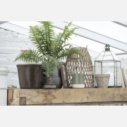 Skjuler Halfdan konisk mocca koldmalet,  13 cm