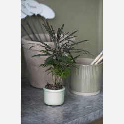 Skjuler mini Hilda krakeleret glasur aqua