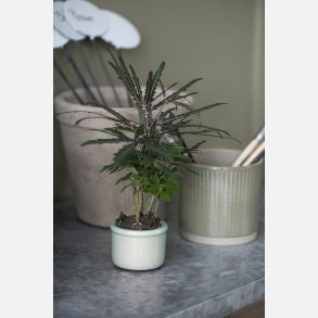 Skjuler mini Hilda krakeleret glasur aqua