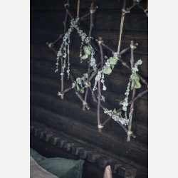 Stjerne af grene, stor