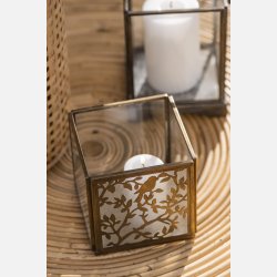 Hurricane front m/fuglemnster