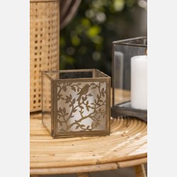 Hurricane front m/fuglemnster