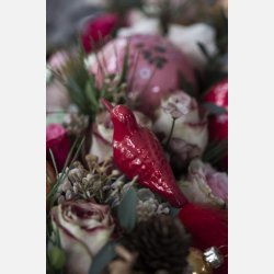 Fugl m/fjer og clips