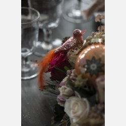 Fugl m/fjer og clips