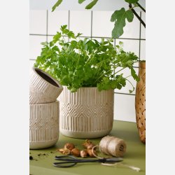  Skjuler m/rudemnster Astrid