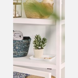 Sukkulent i potte sedum og echeveria