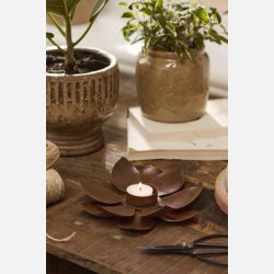  Stage t/3,8 cm lys Lotus