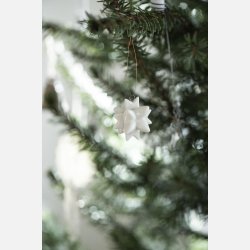 Juletrspynt stjerne