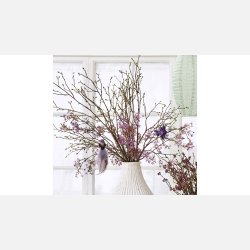 Silkeblomst gren, for�r, lilla