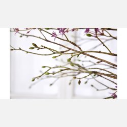 Silkebl. Gren/knop 3 stk L:56 cm 