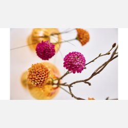 Silkebl. Dahlia 7/Bdt. H:27 cm Fuchsia