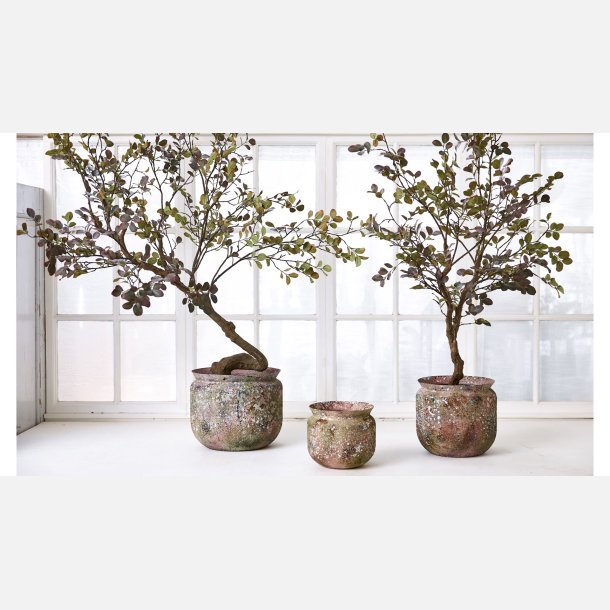 Silkebl. Myrtle Tr bredt