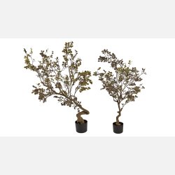 Silkebl. Myrtle Tr bredt