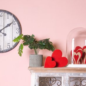 Clayre&eff, gr�n potteplante, monstea