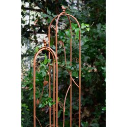 Fuzzy Espalier, rust, 