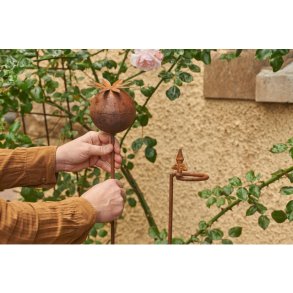 Spyd til plante, rust