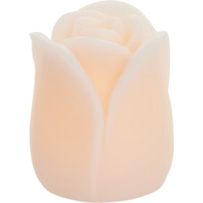 Tulipan LED lys rose 