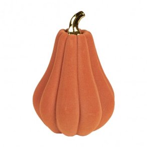 Clayre&eff, gr�skar med guldtop, orange