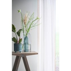 Fagus Potte Grn,  12,5