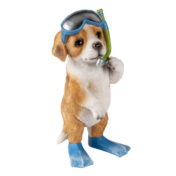 Hund med sv�mmebriller