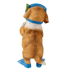 Hund med sv�mmebriller