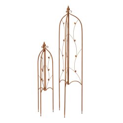 Fuzzy Espalier, rust, 