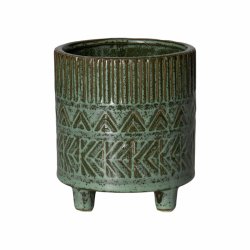 Fagus Potte Grn,  12,5