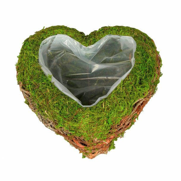 Hjerte til plante, mos/grene