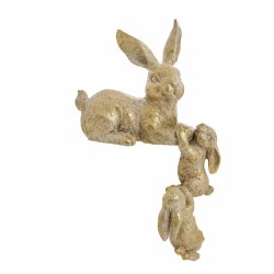 kanin m unge til kant, guld