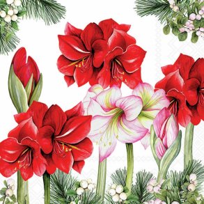 Middags papirservietter , amarylis