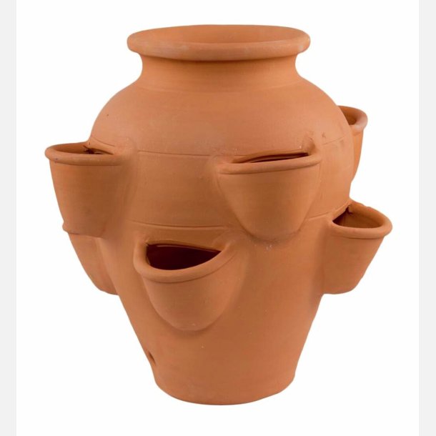 Ilario jordbr Potte, Terracotta