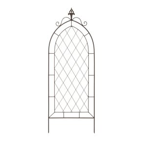 Lauring, Solaris Trellis gr�