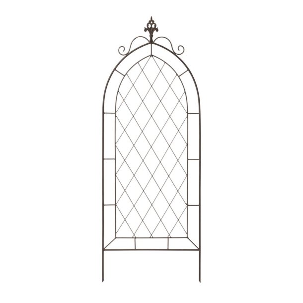 Lauring, Solaris Trellis gr�