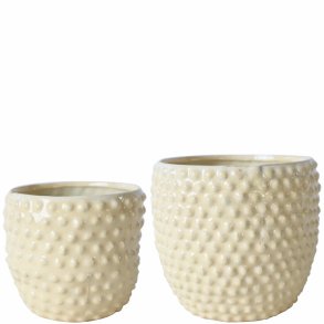 PASCAL Potte s/2 i gul