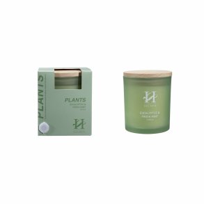 Holmen, Serene - Duftlys 190g, Eucalyptus & Fresh Mint