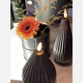 ST med 2 LINCE LYS SORTE